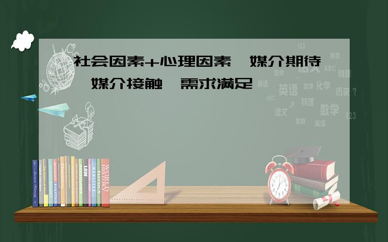 社会因素+心理因素→媒介期待→媒介接触→需求满足