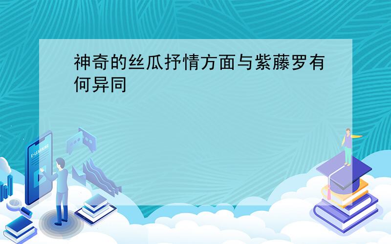 神奇的丝瓜抒情方面与紫藤罗有何异同