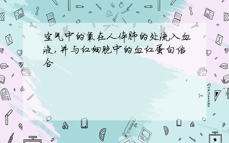 空气中的氧在人体肺的处流入血液,并与红细胞中的血红蛋白结合