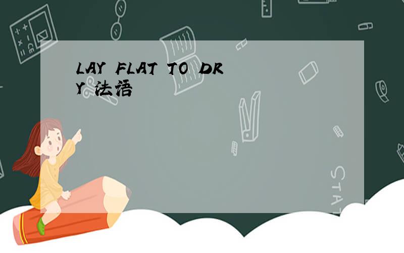 LAY FLAT TO DRY 法语