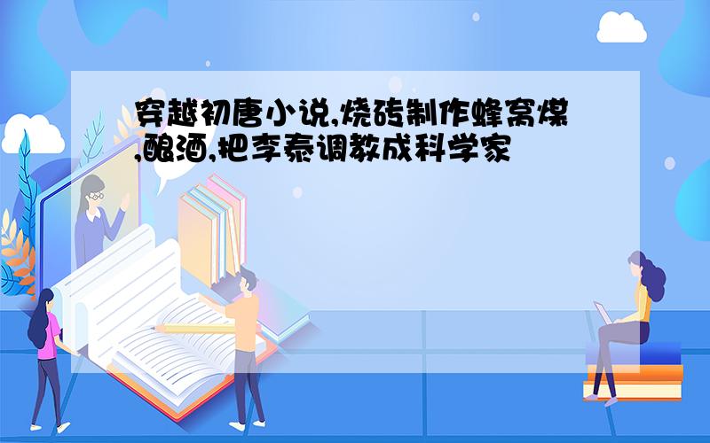 穿越初唐小说,烧砖制作蜂窝煤,酿酒,把李泰调教成科学家