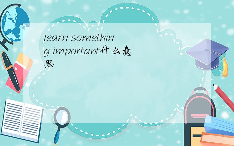 learn something important什么意思