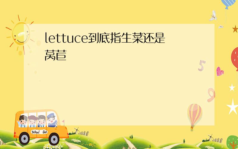 lettuce到底指生菜还是莴苣