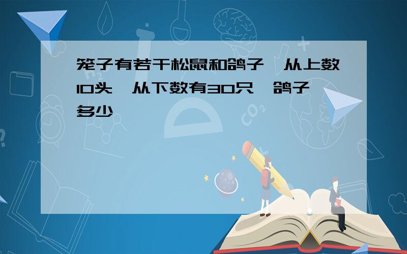 笼子有若干松鼠和鸽子,从上数10头,从下数有30只,鸽子多少