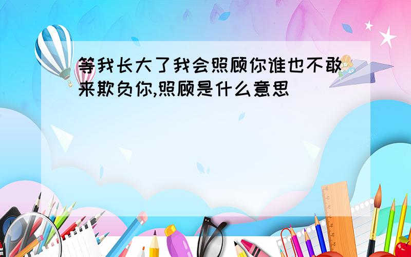 等我长大了我会照顾你谁也不敢来欺负你,照顾是什么意思