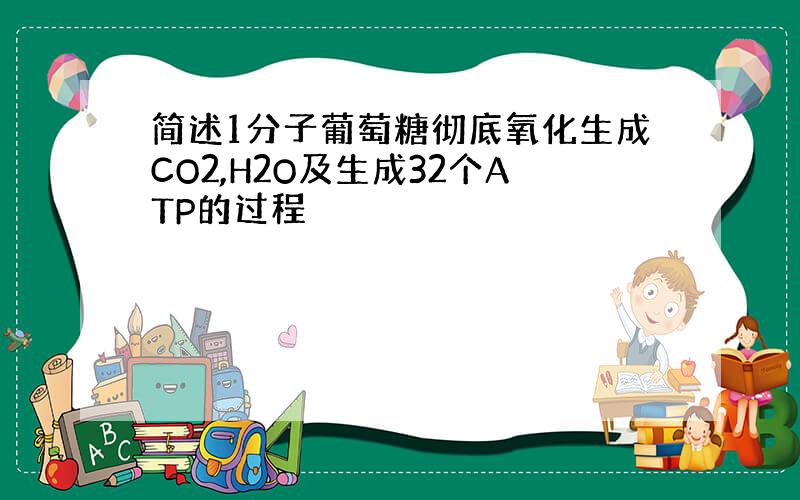 简述1分子葡萄糖彻底氧化生成CO2,H2O及生成32个ATP的过程