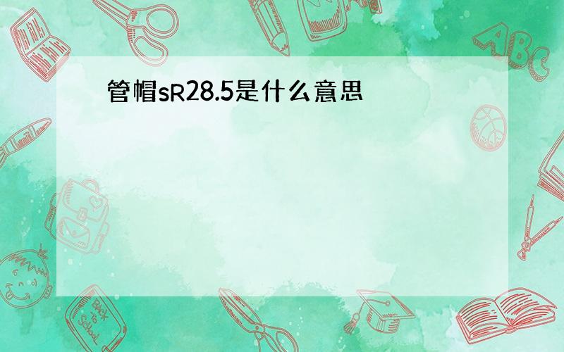 管帽sR28.5是什么意思