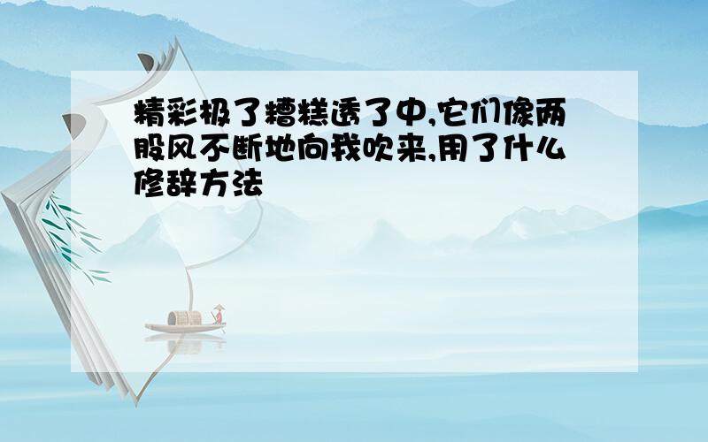 精彩极了糟糕透了中,它们像两股风不断地向我吹来,用了什么修辞方法