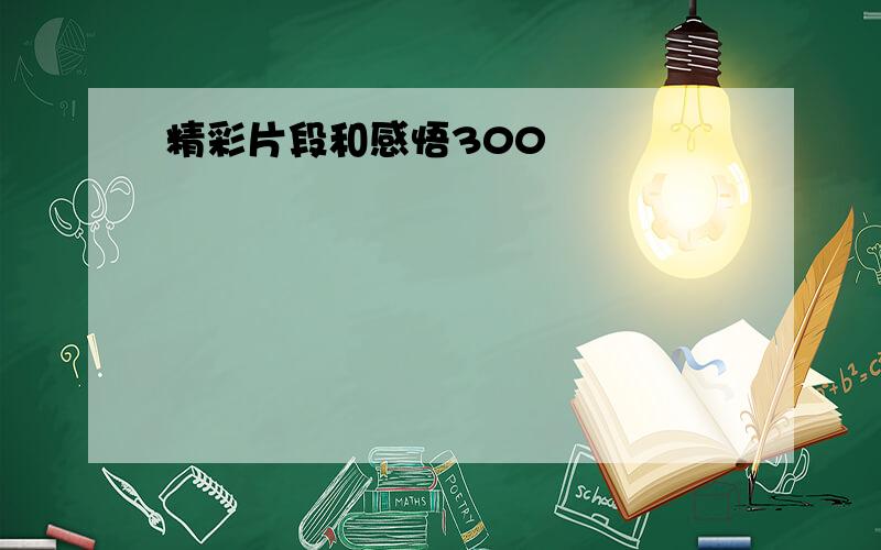 精彩片段和感悟300