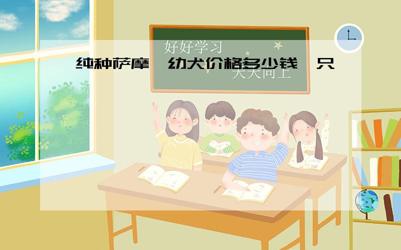 纯种萨摩耶幼犬价格多少钱一只