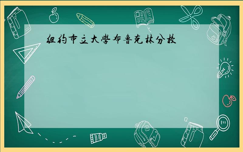 纽约市立大学布鲁克林分校