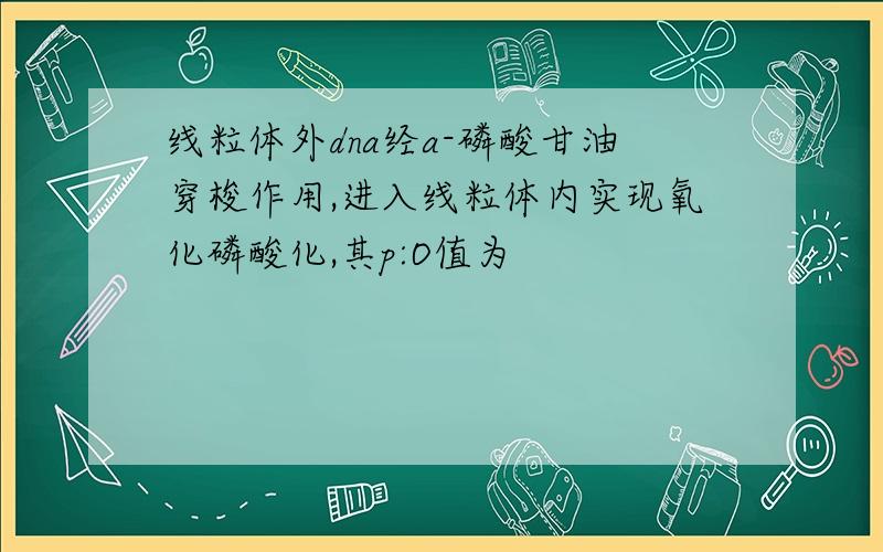 线粒体外dna经a-磷酸甘油穿梭作用,进入线粒体内实现氧化磷酸化,其p:O值为