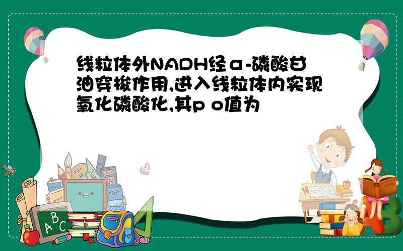 线粒体外NADH经α-磷酸甘油穿梭作用,进入线粒体内实现氧化磷酸化,其p o值为