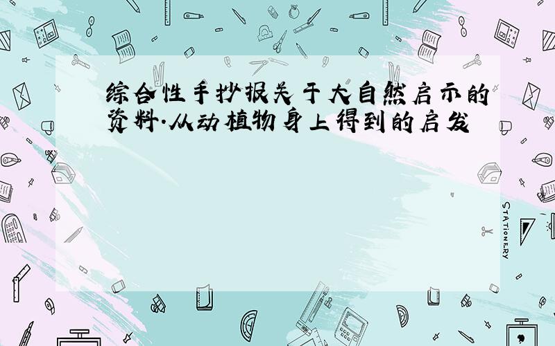 综合性手抄报关于大自然启示的资料.从动植物身上得到的启发