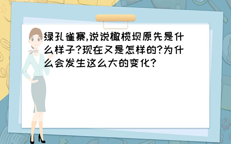 绿孔雀寨,说说橄榄坝原先是什么样子?现在又是怎样的?为什么会发生这么大的变化?