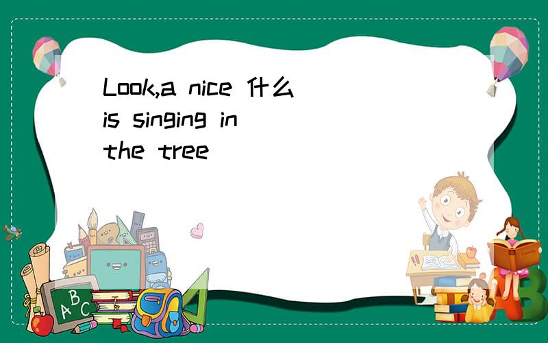 Look,a nice 什么is singing in the tree