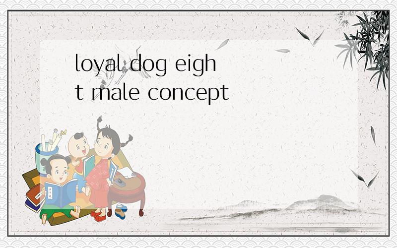 loyal dog eight male concept