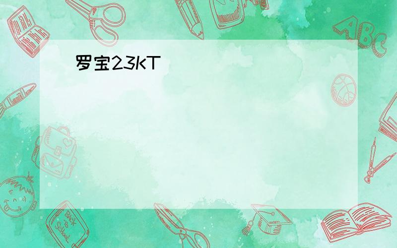 罗宝23KT