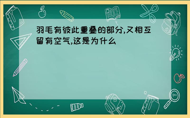 羽毛有彼此重叠的部分,又相互留有空气,这是为什么