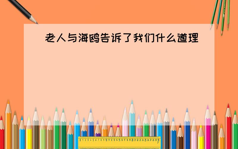 老人与海鸥告诉了我们什么道理