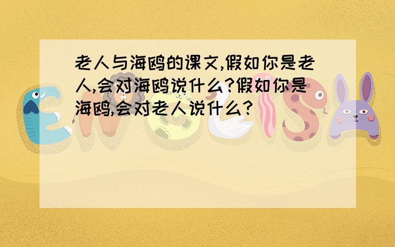 老人与海鸥的课文,假如你是老人,会对海鸥说什么?假如你是海鸥,会对老人说什么?