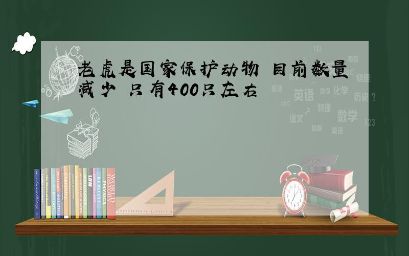 老虎是国家保护动物 目前数量减少 只有400只左右