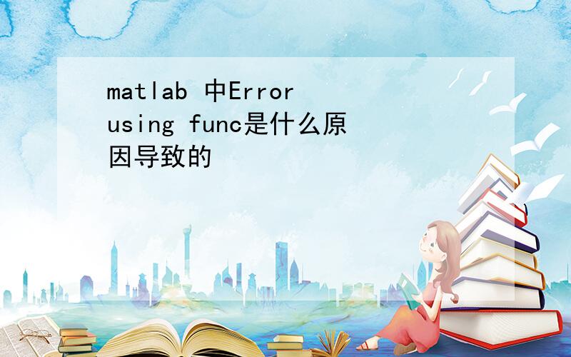 matlab 中Error using func是什么原因导致的