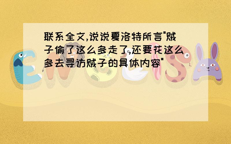 联系全文,说说夏洛特所言"贼子偷了这么多走了,还要花这么多去寻访贼子的具体内容"