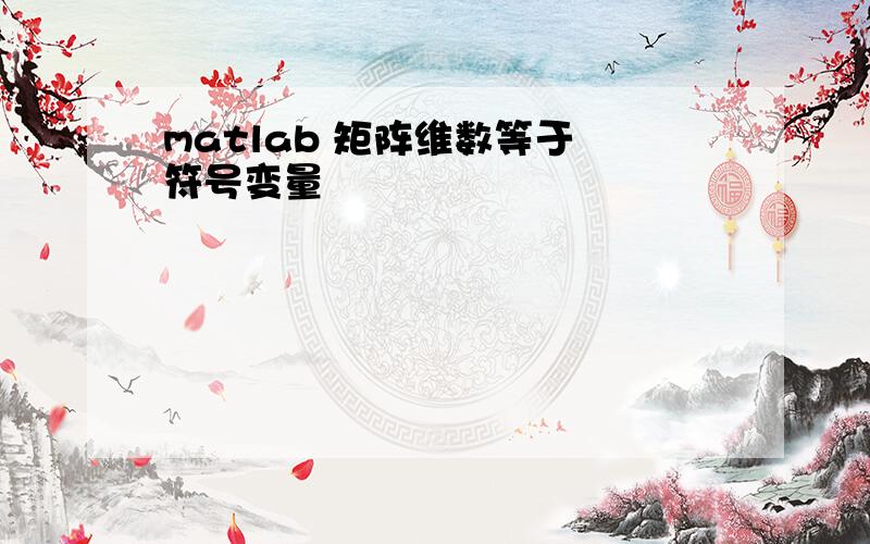 matlab 矩阵维数等于 符号变量