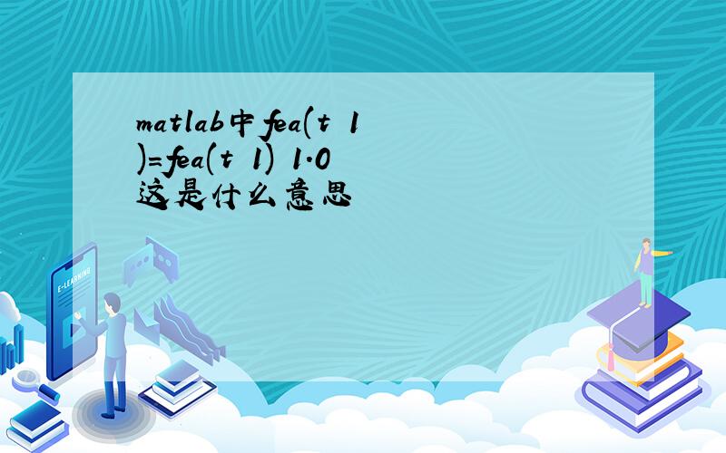 matlab中fea(t 1)=fea(t 1) 1.0这是什么意思