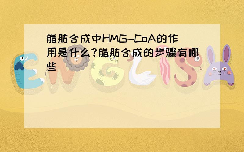 脂肪合成中HMG-CoA的作用是什么?脂肪合成的步骤有哪些