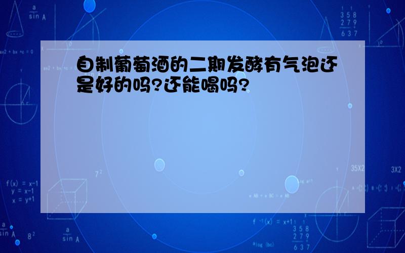 自制葡萄酒的二期发酵有气泡还是好的吗?还能喝吗?