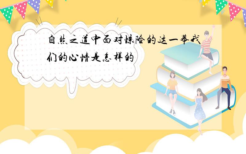 自然之道中面对惊险的这一幕我们的心情是怎样的