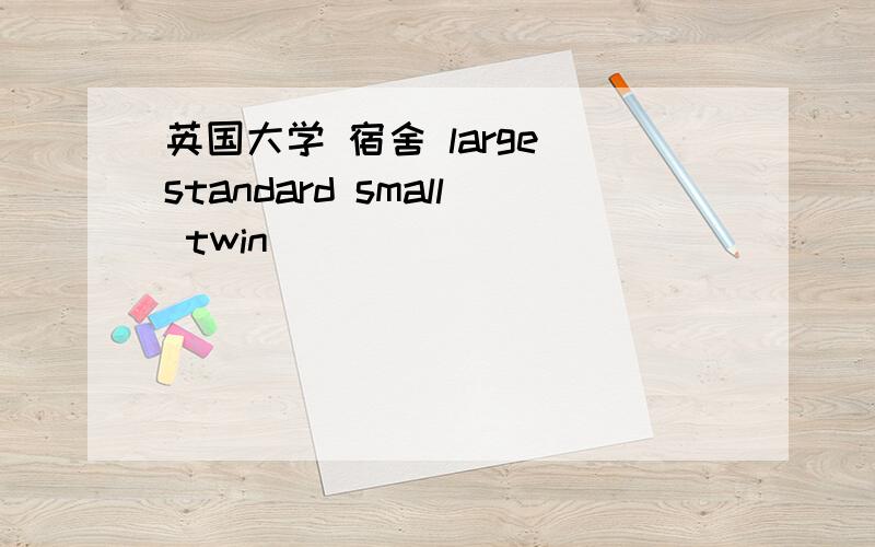 英国大学 宿舍 large standard small twin