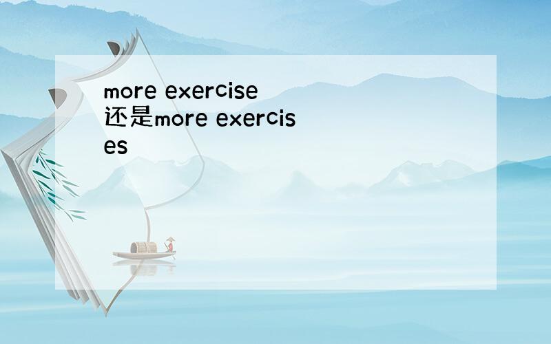 more exercise 还是more exercises