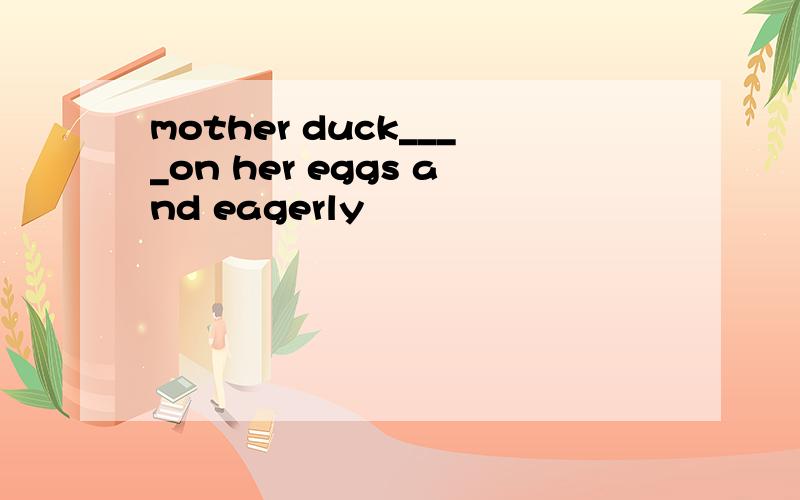 mother duck____on her eggs and eagerly