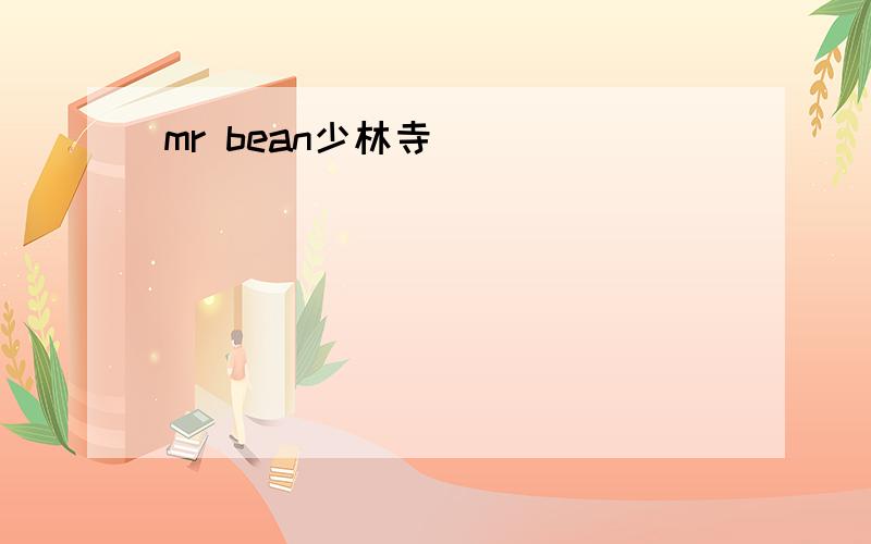 mr bean少林寺