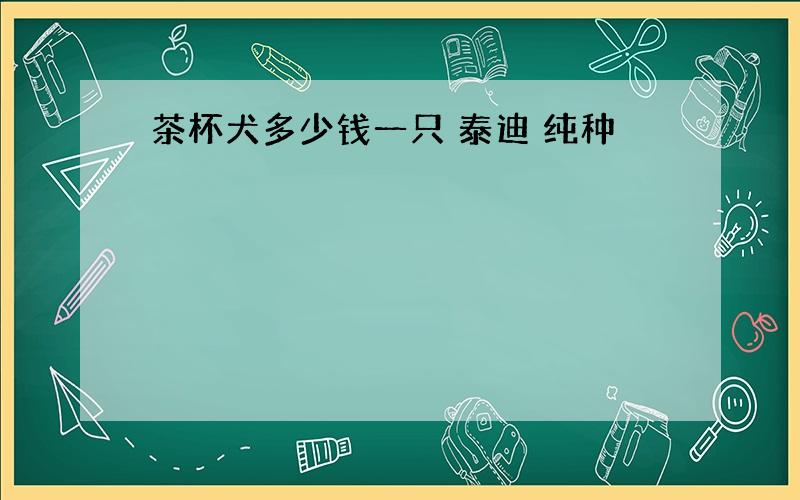 茶杯犬多少钱一只 泰迪 纯种