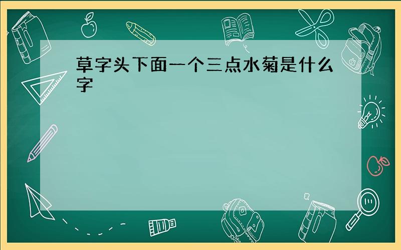 草字头下面一个三点水菊是什么字