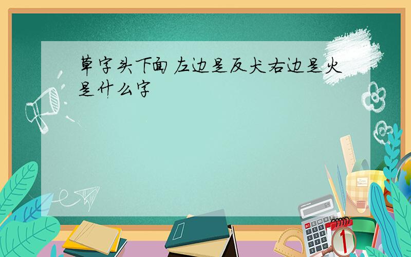 草字头下面左边是反犬右边是火是什么字