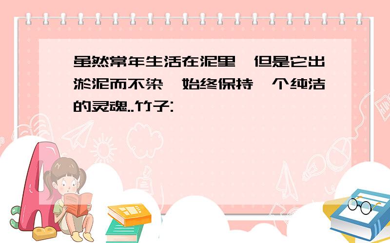 虽然常年生活在泥里,但是它出淤泥而不染,始终保持一个纯洁的灵魂..竹子: