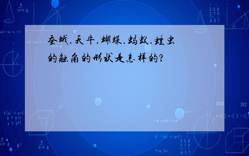 蚕蛾.天牛.蝴蝶.蚂蚁.蝗虫的触角的形状是怎样的?