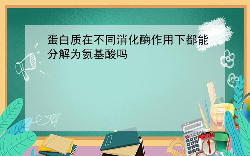 蛋白质在不同消化酶作用下都能分解为氨基酸吗