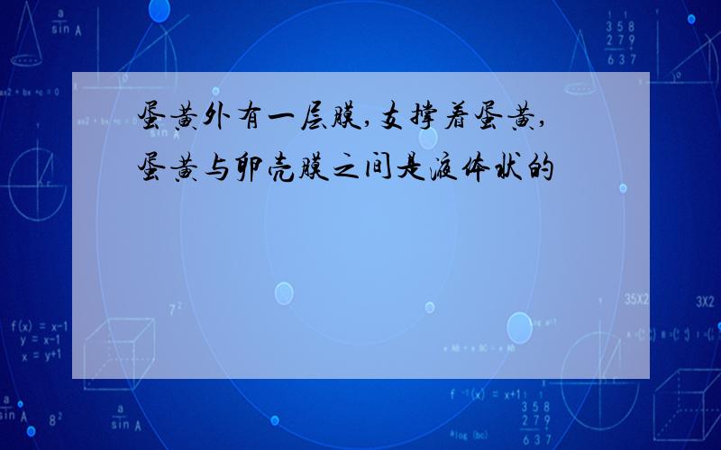 蛋黄外有一层膜,支撑着蛋黄,蛋黄与卵壳膜之间是液体状的