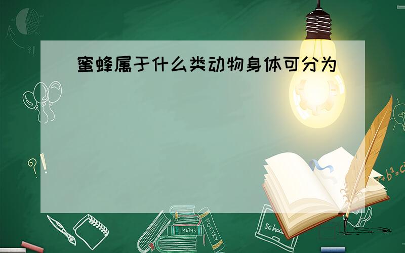 蜜蜂属于什么类动物身体可分为