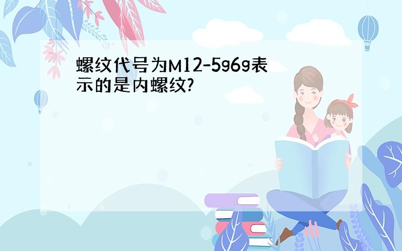 螺纹代号为M12-5g6g表示的是内螺纹?