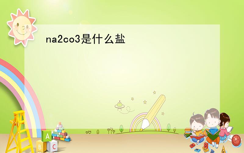 na2co3是什么盐