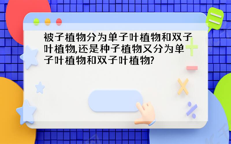 被子植物分为单子叶植物和双子叶植物,还是种子植物又分为单子叶植物和双子叶植物?