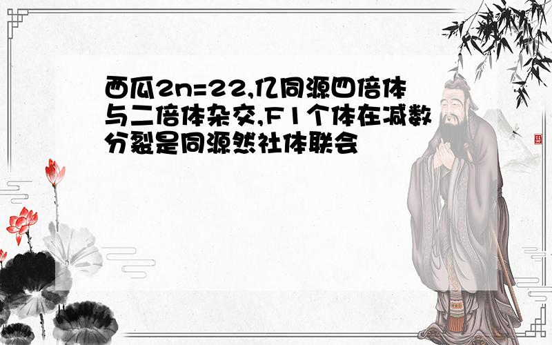 西瓜2n=22,亿同源四倍体与二倍体杂交,F1个体在减数分裂是同源然社体联会