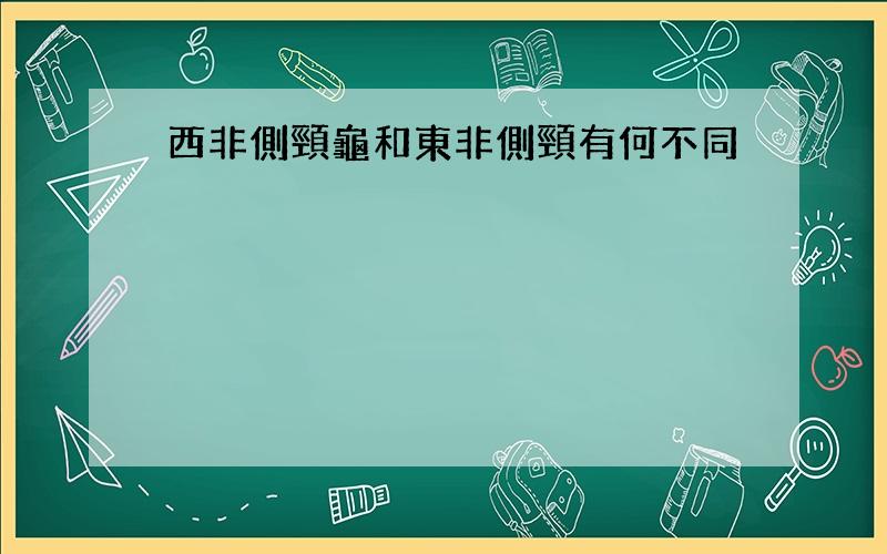 西非側頸龜和東非側頸有何不同